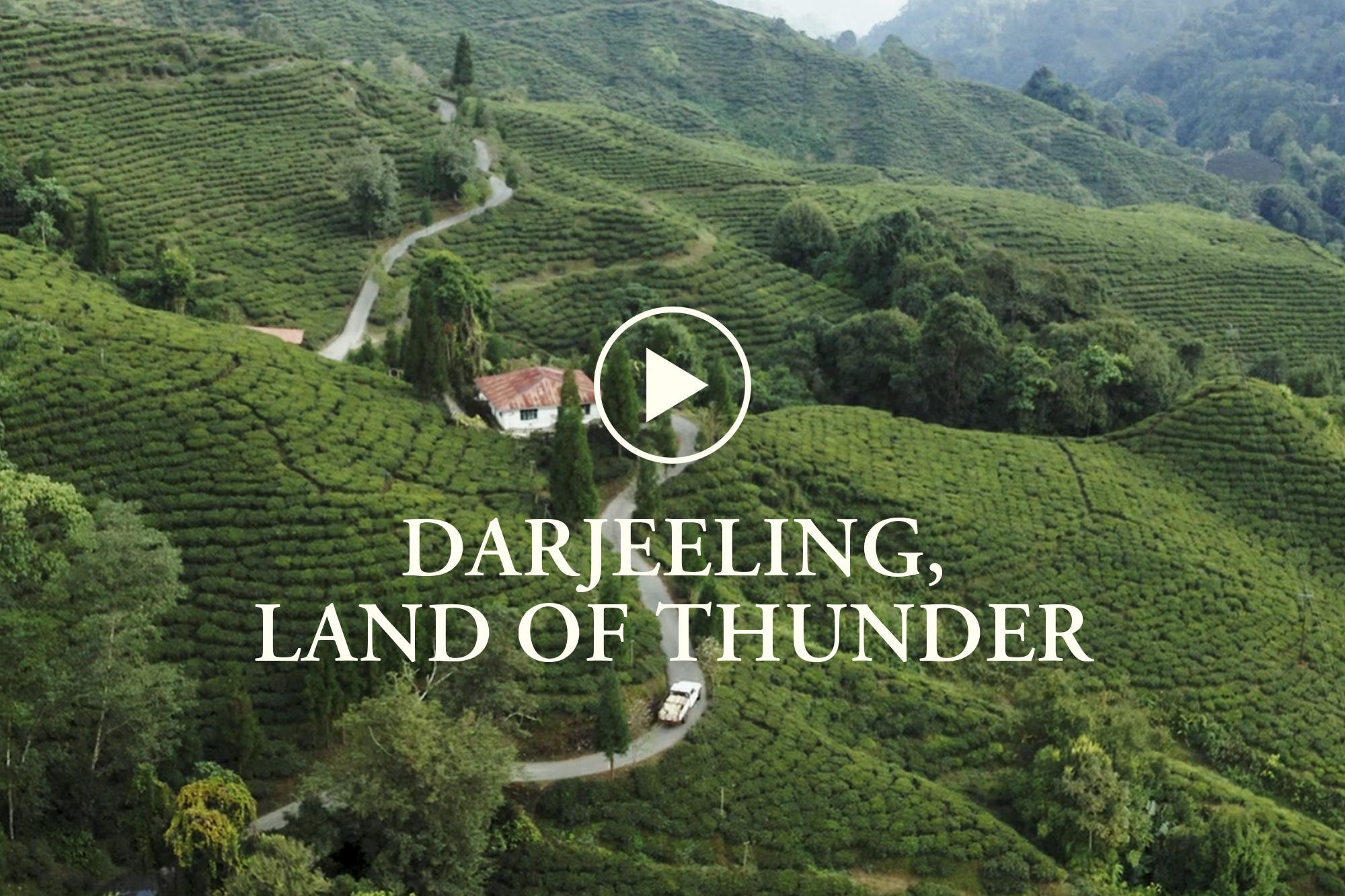 Darjeeling